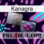 Kanagra 38